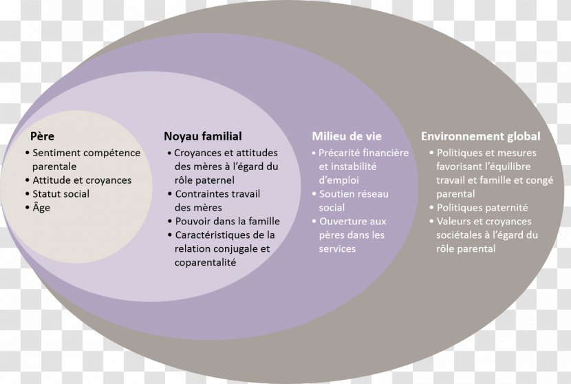 Ecological Systems Theory Ecology Modell Social Model Psychology - Infant - Ecologic Development Fund Transparent PNG