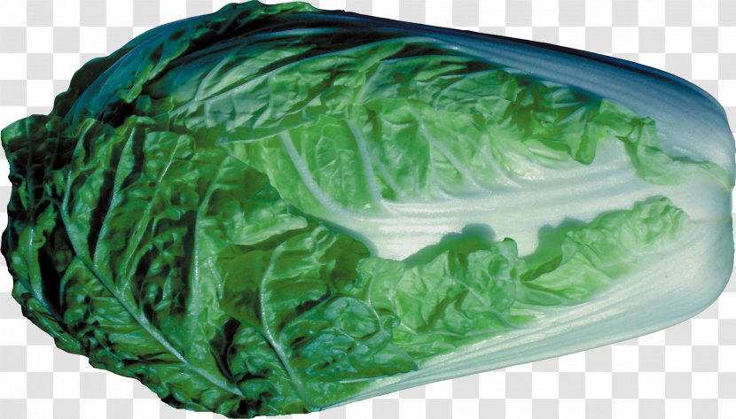 Collard Greens Spring Cabbage Romaine Lettuce Leaf - Food Transparent PNG