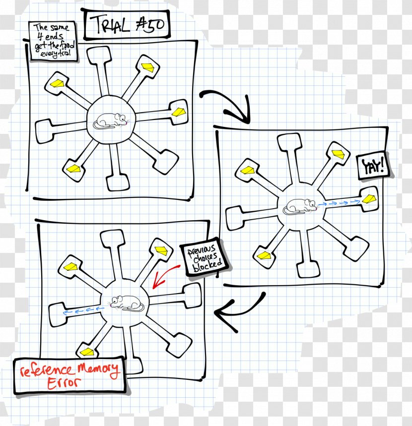 Rat Radial Arm Maze Mouse Working Memory Morris Water Navigation Task - Reference Transparent PNG