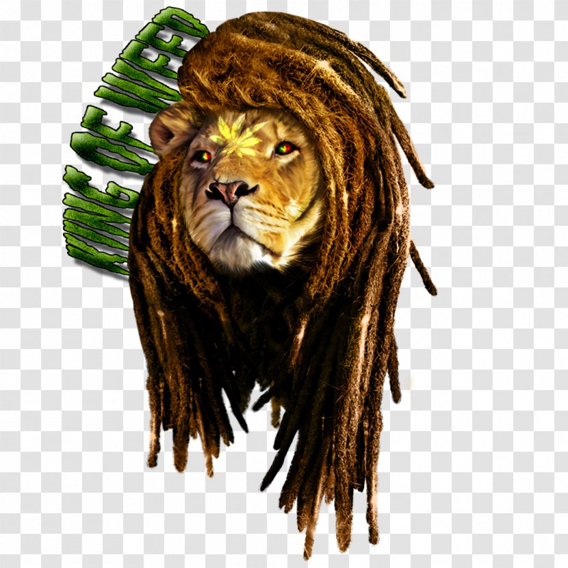 Lion T-shirt Braid Rastafari Reggae - Tshirt Transparent PNG