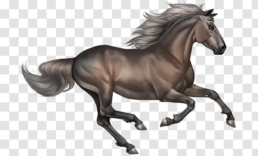 Mestengo: A Wild Mustang, Writer On The Run, And Power Of Unexpected Clip Art - Sticker - Smoky Transparent PNG