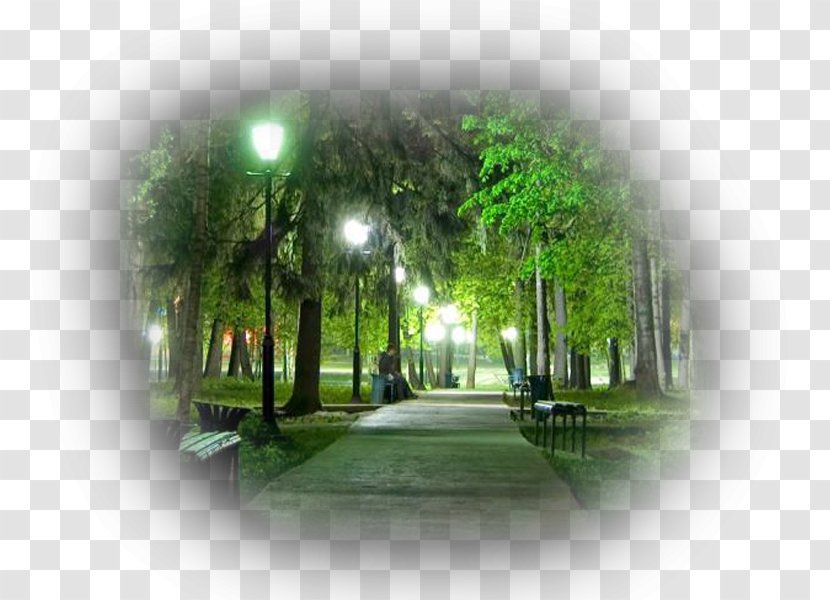 Simferopol Zelenodolsk Dnipro Urban Park - Nature Transparent PNG