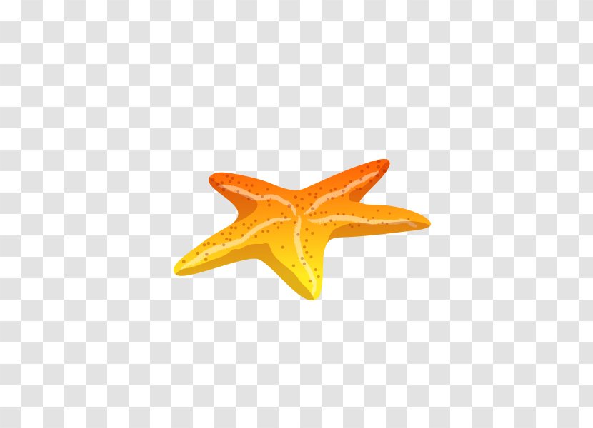 Starfish Euclidean Vector - Yellow Transparent PNG