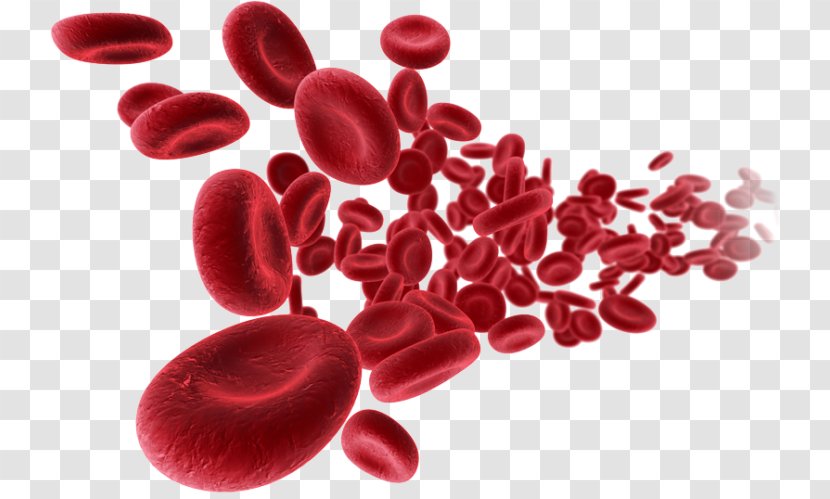 Cord Blood Bank Patient Leukemia - Superfood Transparent PNG