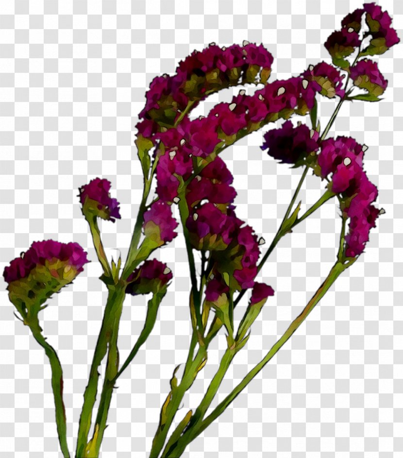 Cut Flowers Floral Design Flower Bouquet Plants - Herbaceous Plant Transparent PNG