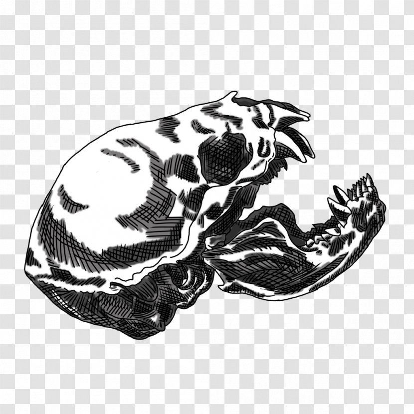 Drawing /m/02csf White Font - Bat Skull Transparent PNG