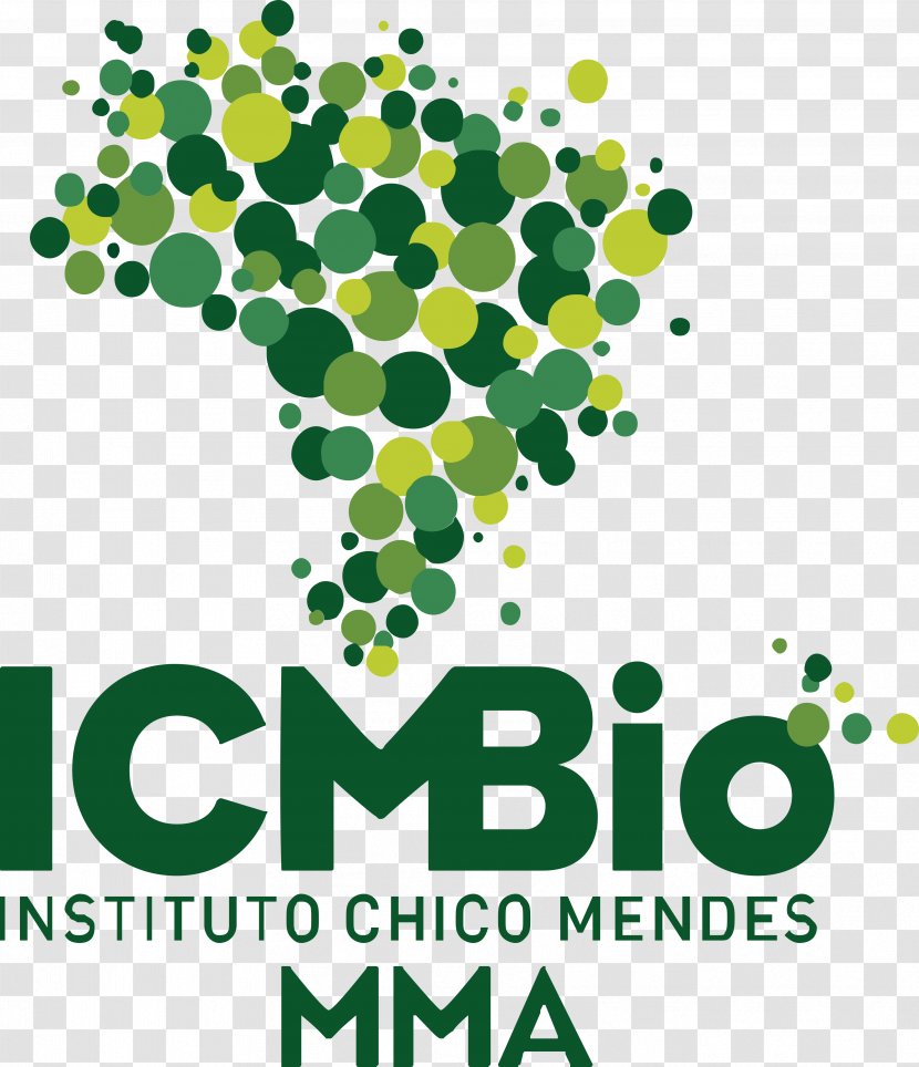 Serra Da Capivara National Park Chico Mendes Institute For Biodiversity Conservation Brazilian Of Environment And Renewable Natural Resources - Leaf Transparent PNG