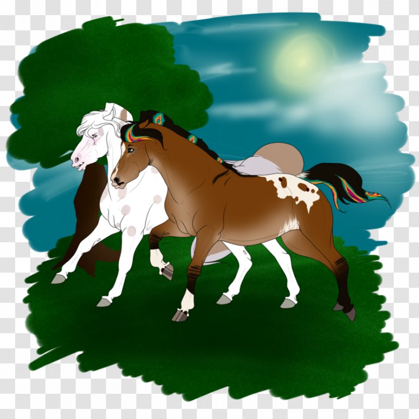 Foal Mustang Stallion Colt Mare Transparent PNG