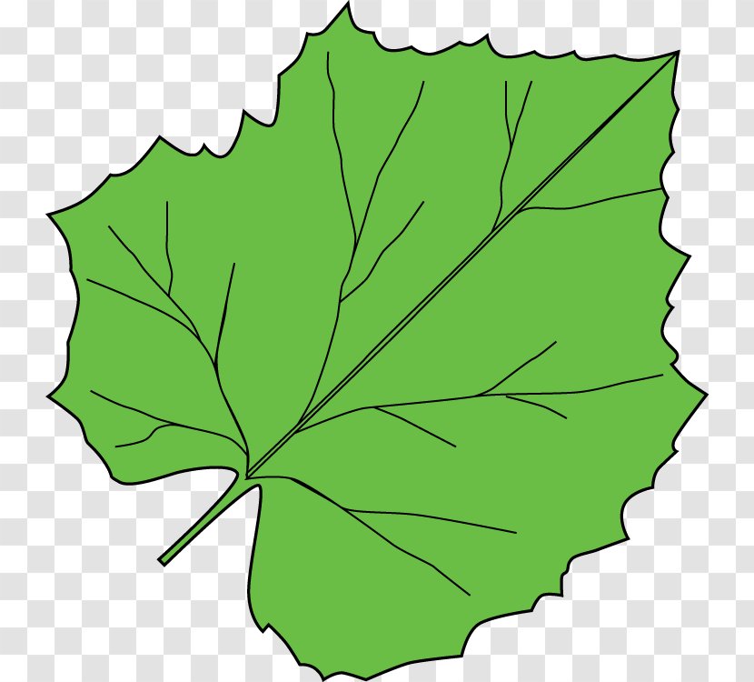 Petal Leaf Plant Stem Tree Clip Art - Green Transparent PNG