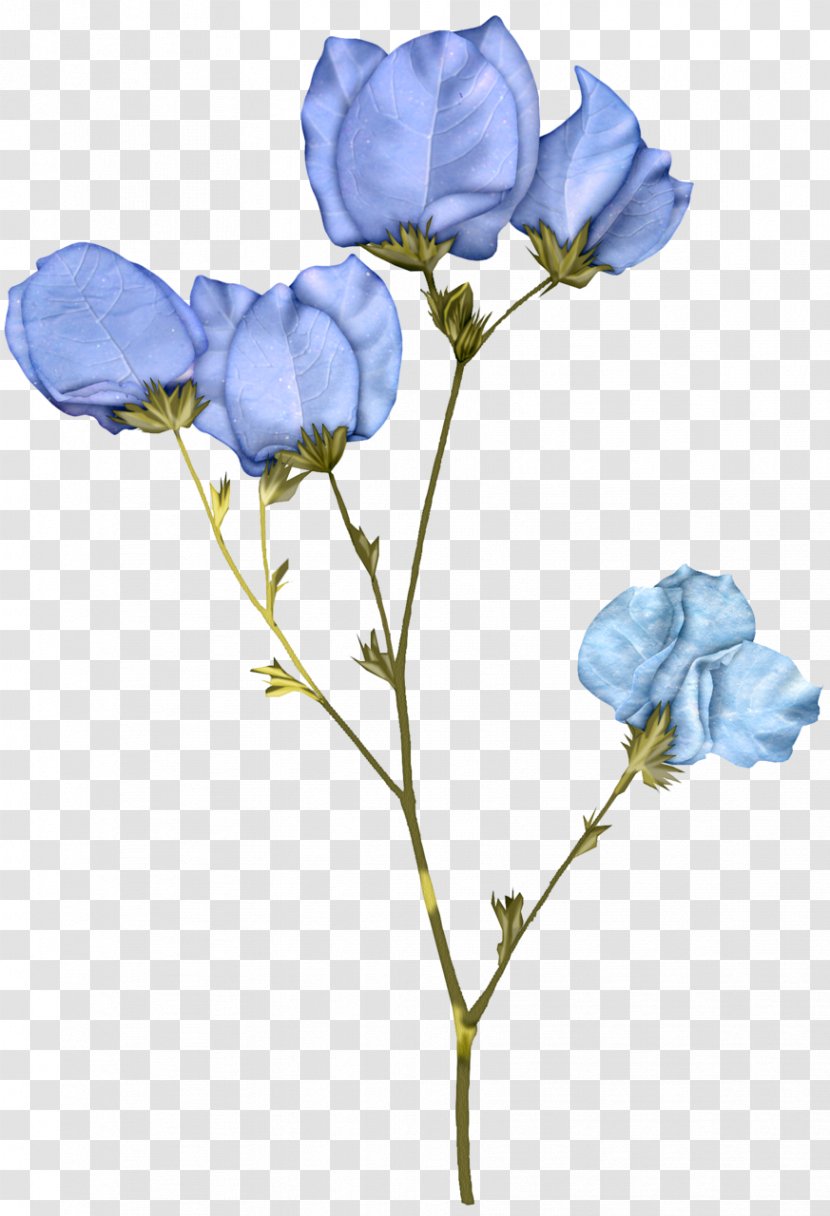 Bouquet Of Flowers - Balloon Flower - Prickly Rose Wildflower Transparent PNG