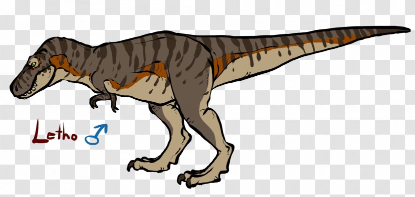 Tyrannosaurus Velociraptor Terrestrial Animal Clip Art - Figure Transparent PNG