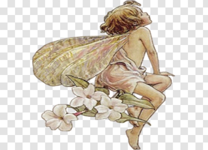 Fairy Public Domain Flower Fairies Clip Art - Fictional Character Transparent PNG