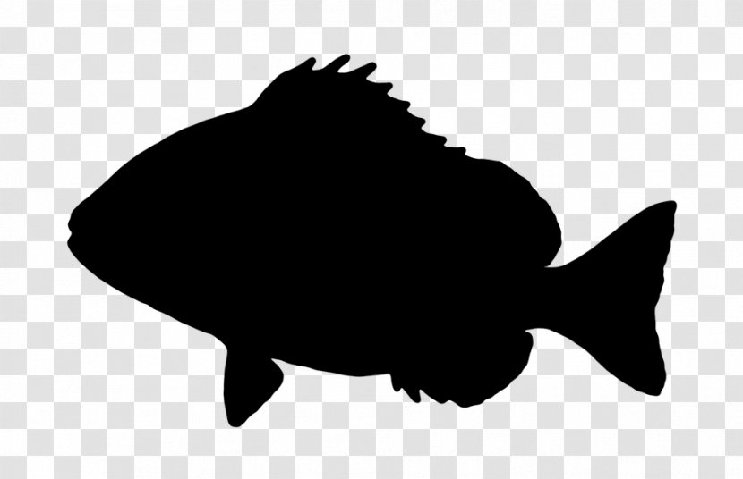 Clip Art Vector Graphics Illustration Drawing Image - Stock Photography - Fish Transparent PNG