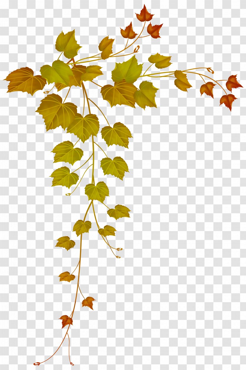 Autumn Leaf Color Clip Art - Flora Transparent PNG