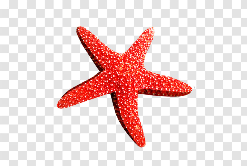 Starfish Red Pink Pattern Transparent PNG