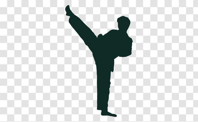 Front Kick Karate - Silhouette Transparent PNG
