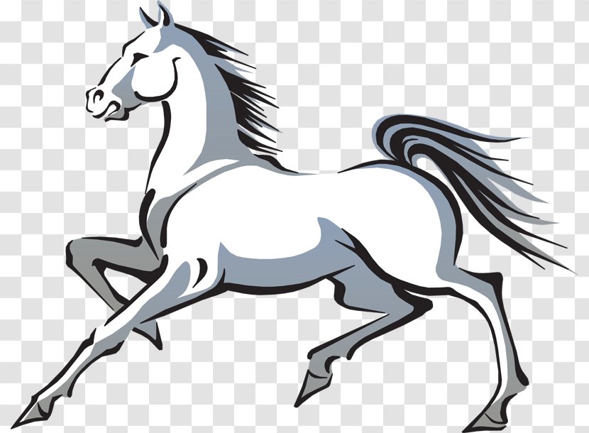 Horse Euclidean Vector Clip Art - Black And White - Cliparts Transparent PNG