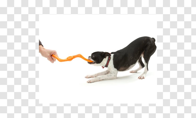 Dog Toys Amazon.com Fetch Paw Transparent PNG