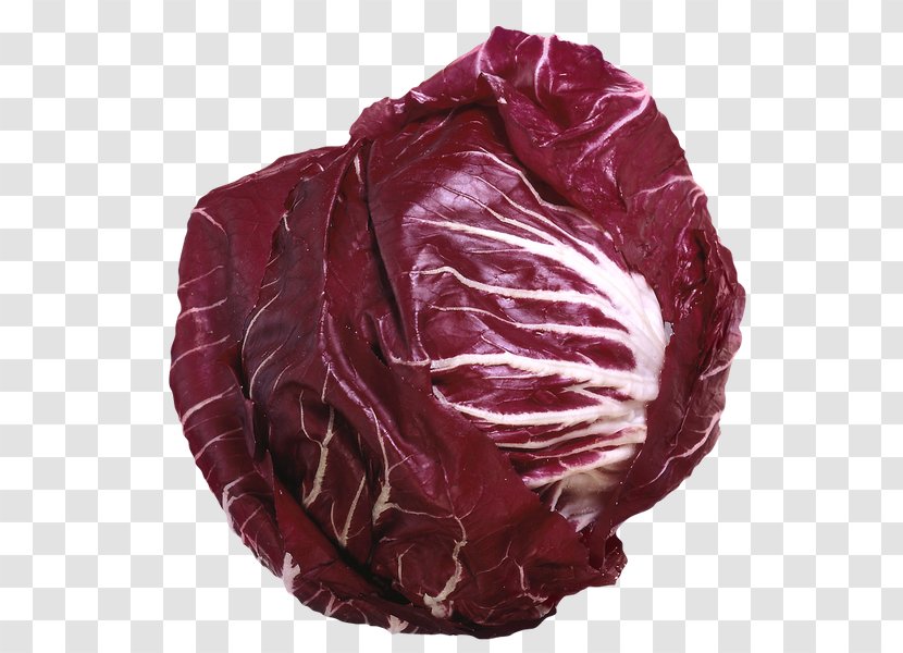 Red Cabbage Lettuce Vegetable Kale Transparent PNG