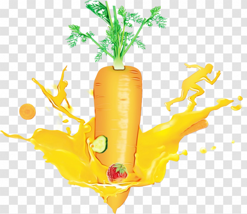 Vegetable Natural Food Local Food Carrot/m Carrot M Transparent PNG