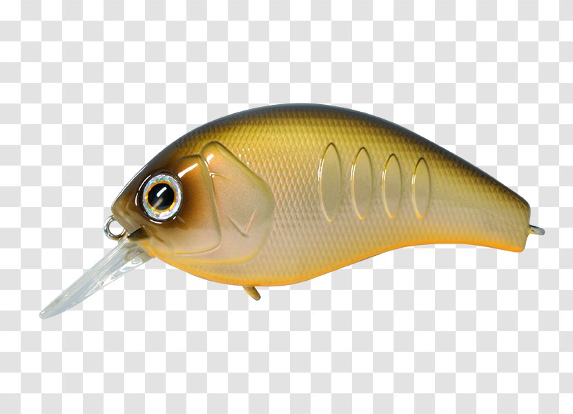 Korrigan Spoon Lure Fishing Baits & Lures 株式会社デプス - Bony Fish - Horizon Transparent PNG
