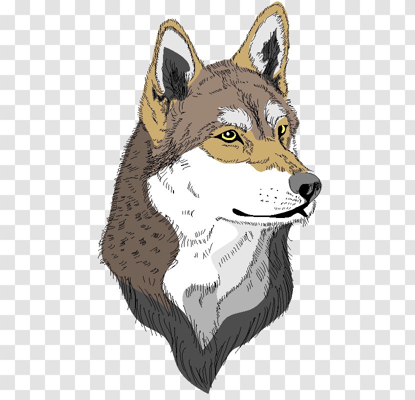 Red Fox Gray Wolf Coyote Jackal - Fur - Saarloos Wolfdog Transparent PNG