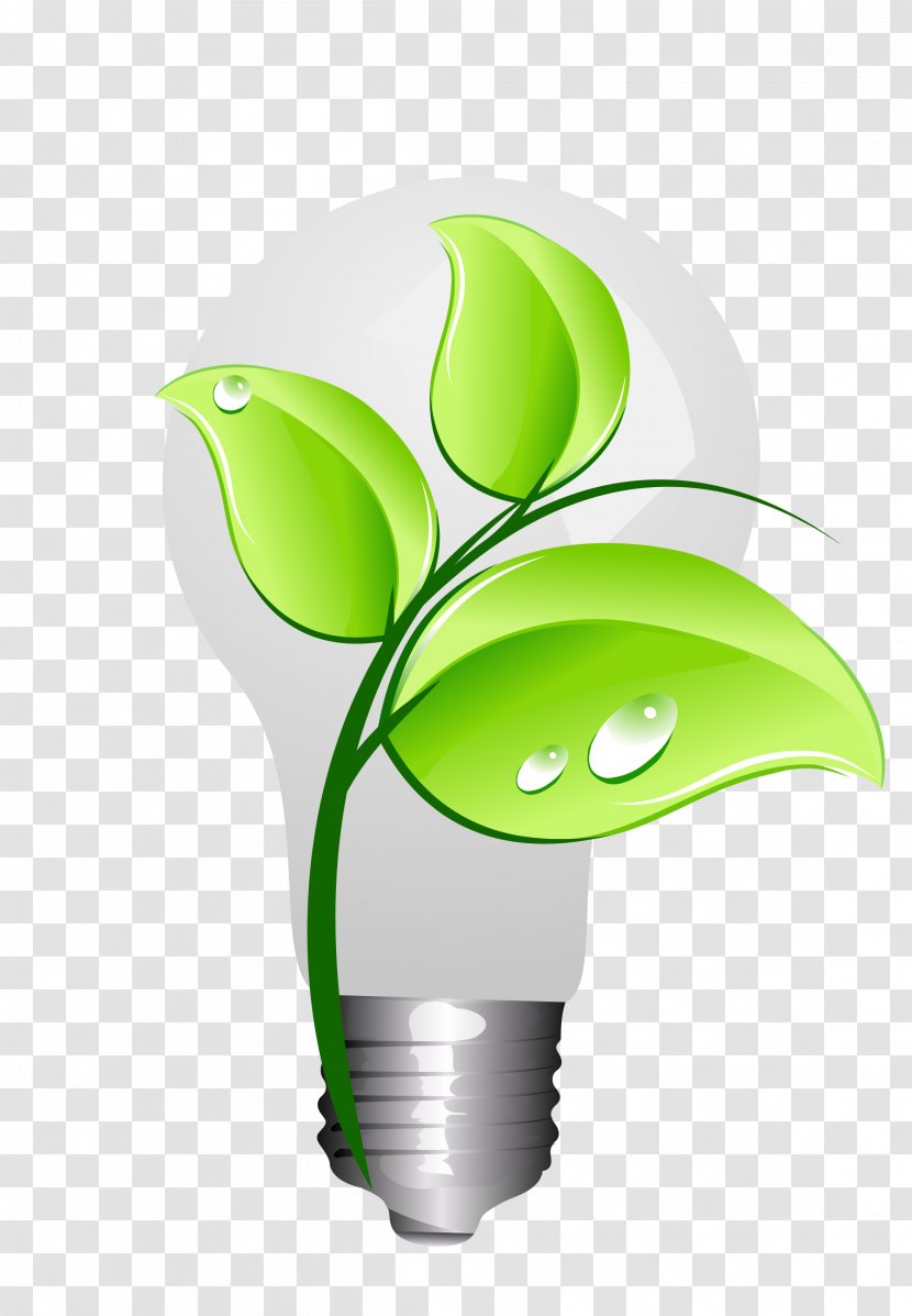 Energy Conservation Animation Drawing - Plant - Vector Green Light Bulb Transparent PNG