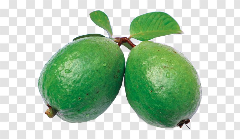 Juice Common Guava Feijoa Orange Transparent PNG
