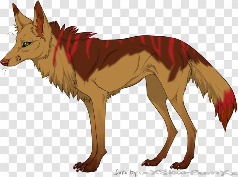 Red Fox Coyote Drawing Painting Gray Wolf - Deviantart Transparent PNG