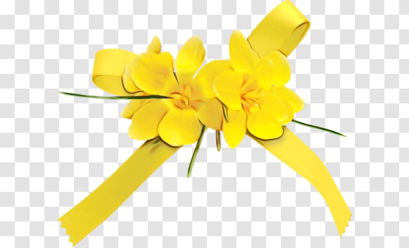 Flowers Background - Flower - Iris Tulip Transparent PNG