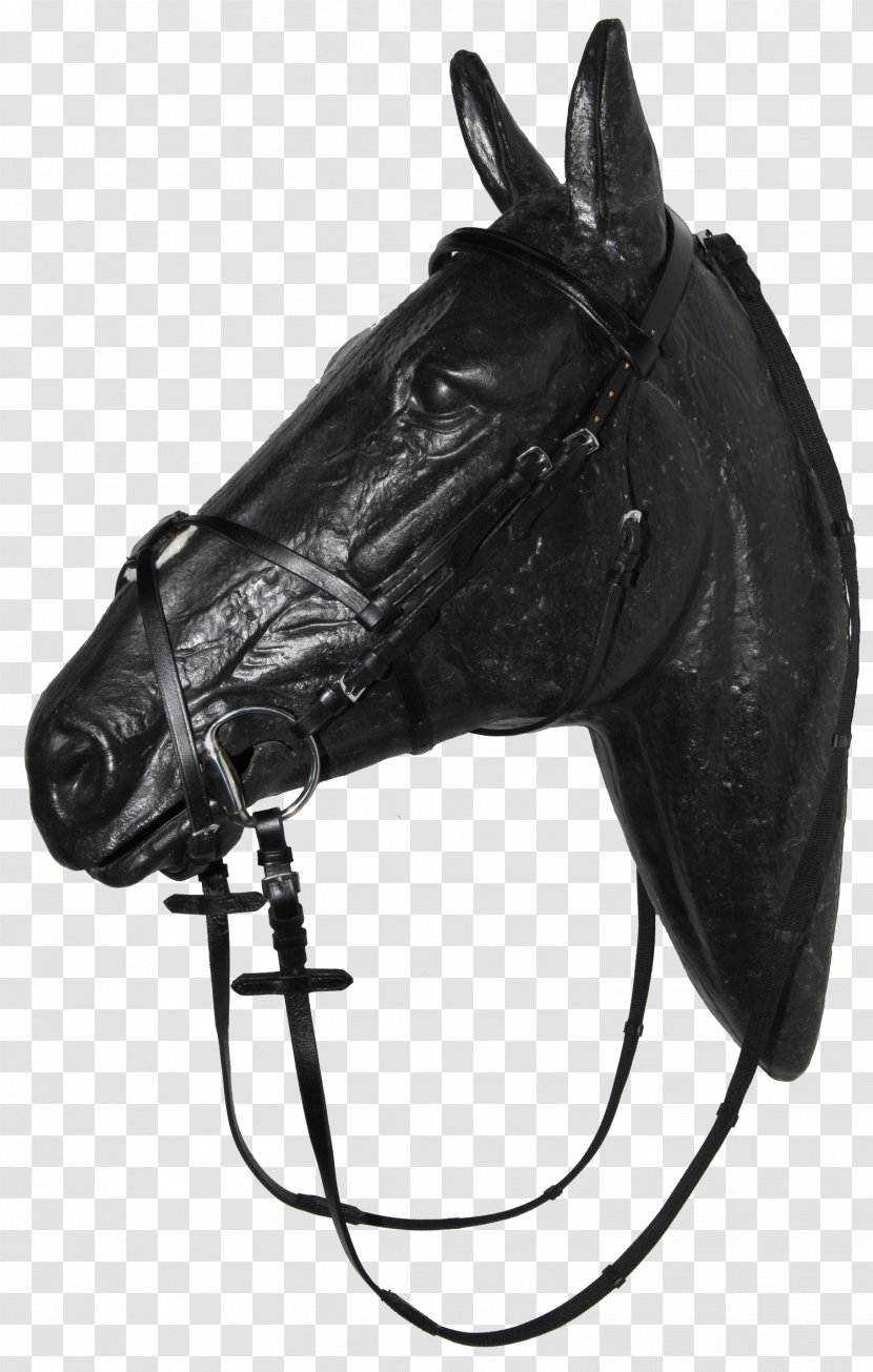 Halter Mustang Stallion Rein Bridle - Black M Transparent PNG