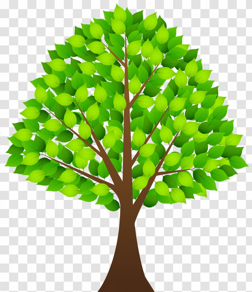 Clip Art - Leaf - Tree With Green Leaves Transparent Image Transparent PNG