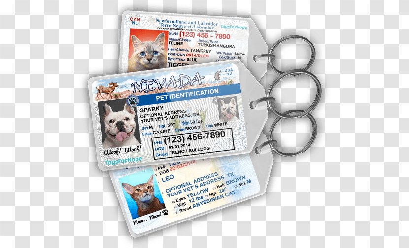 Dog Cat Puppy Pet Tag Transparent PNG