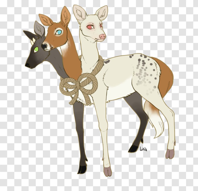 Reindeer Horse Camel Antelope Giraffids Transparent PNG