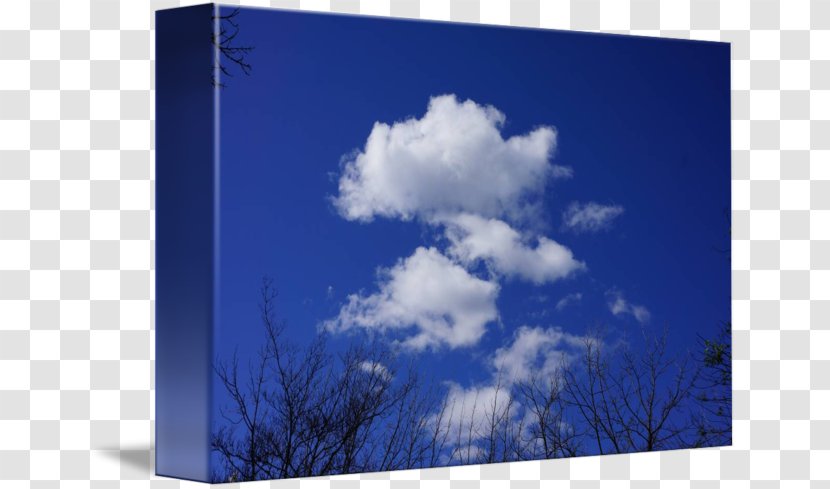 Desktop Wallpaper Energy Computer Tree - Meteorological Phenomenon - Blue Sky And White Clouds Transparent PNG