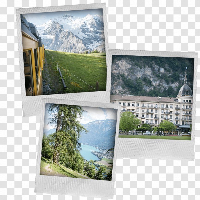 Photographic Paper Picture Frames Advertising Interlaken - Frame Transparent PNG