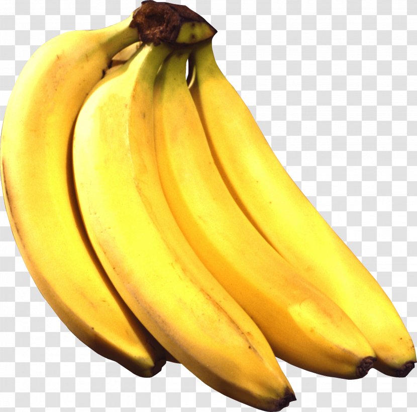 Banana Pudding - Family - Image Transparent PNG