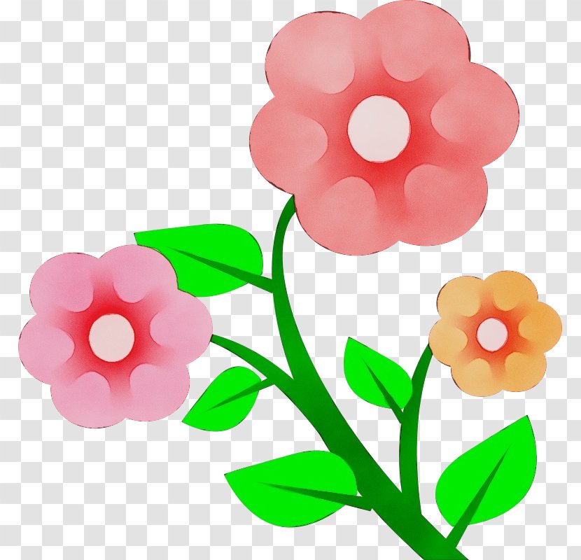 Clip Art Pink Flower Petal Plant - Cut Flowers - Impatiens Transparent PNG
