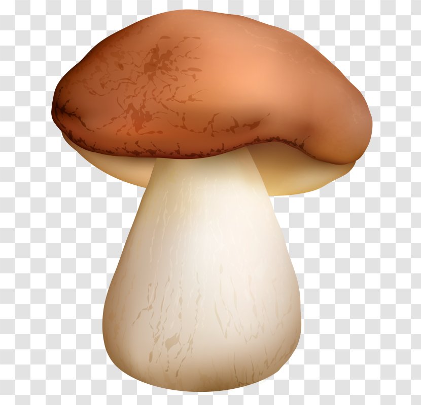 Common Mushroom Penny Bun Clip Art Bolete - Pleurotus Eryngii Transparent PNG