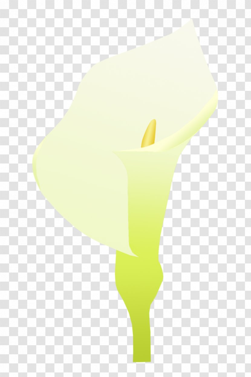 Yellow Font - Blooming Calla Lily Transparent PNG