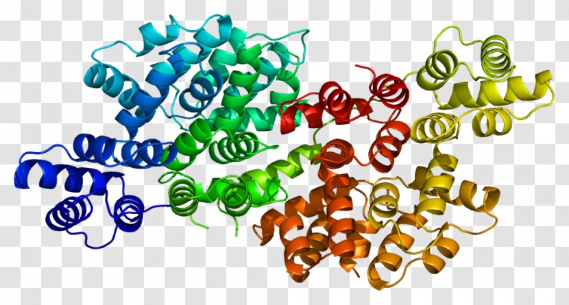 ANXA6 Annexin Gene Protein Clip Art - Melanosome Transparent PNG