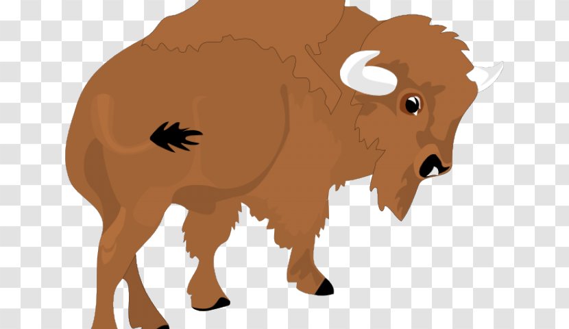 American Bison Water Buffalo Clip Art Cattle Free Content - Ox - Bidon Transparent PNG