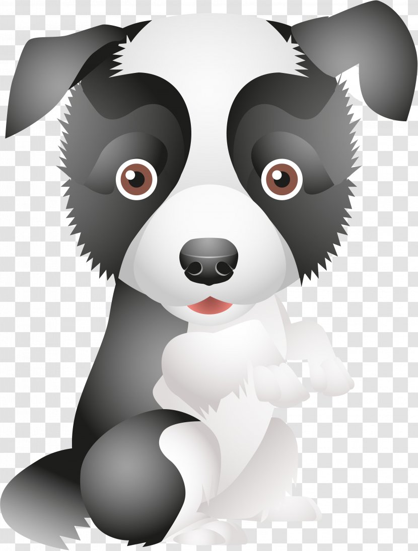 Puppy Dog Breed Border Collie Rough Standard Schnauzer Transparent PNG