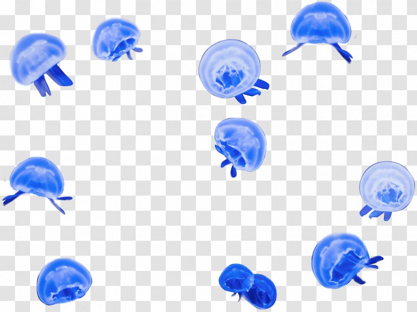 Marine Invertebrates Jellyfish Shark Blue - Sticker - Fish Transparent PNG