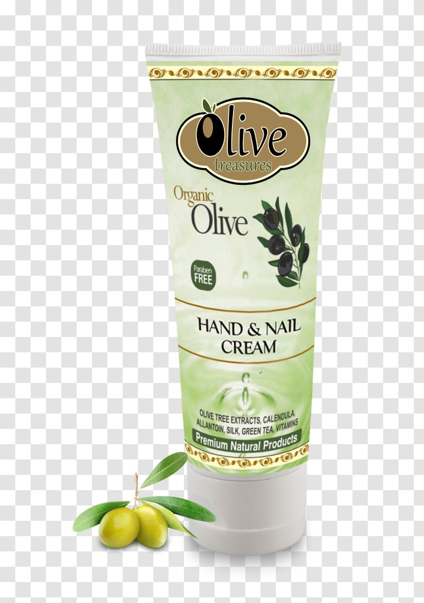 Cream Lotion Olive Oil Avocado - An Aloe Vera Transparent PNG