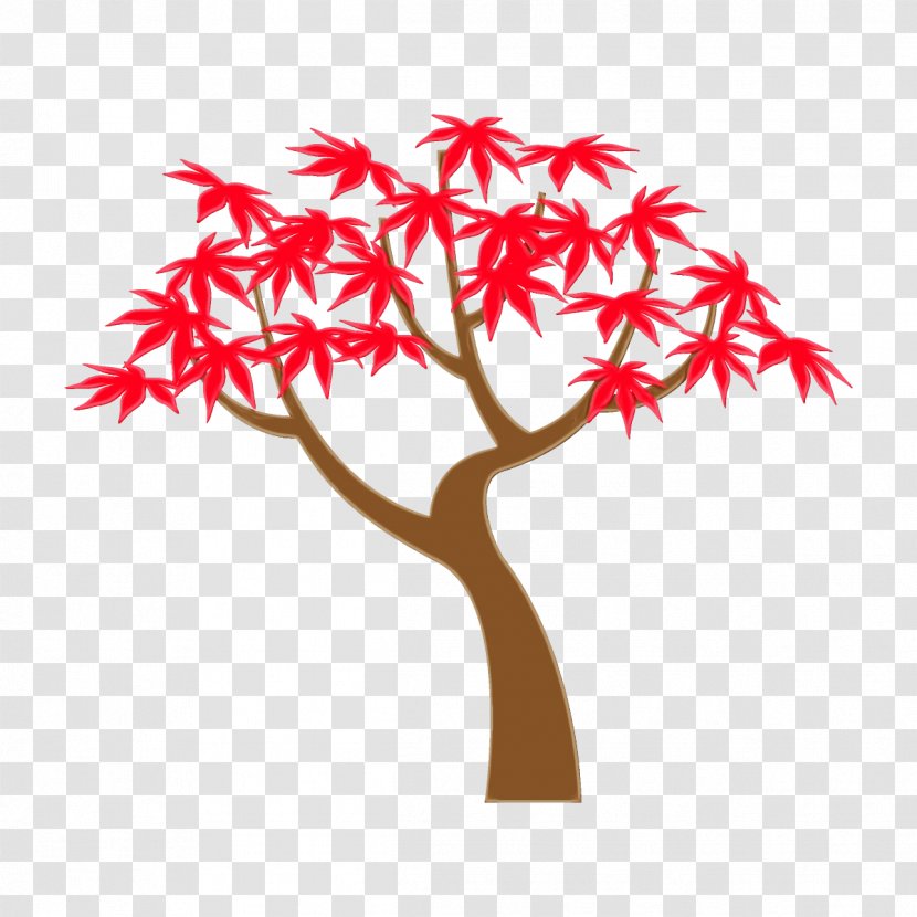 Tree Leaf Red Woody Plant - Twig Black Maple Transparent PNG