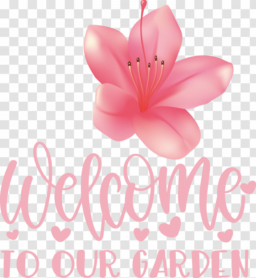 Garden Flower Floral Transparent PNG