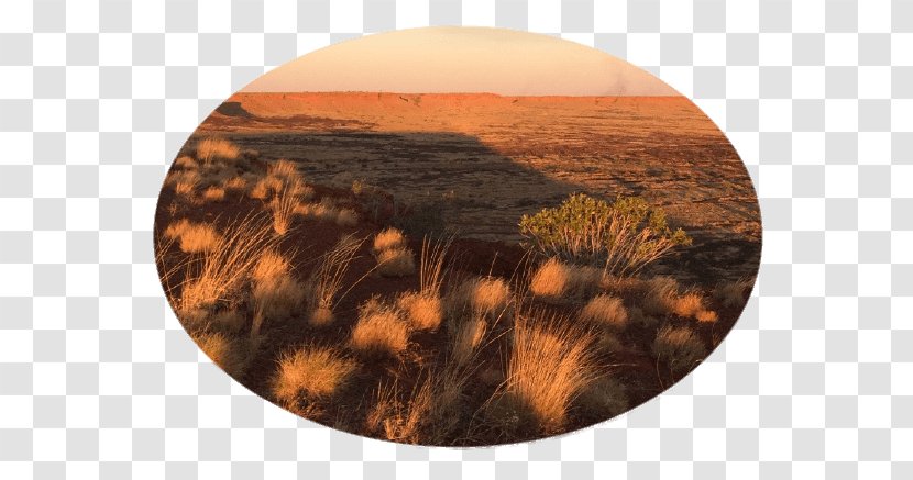 Wirrimanu (Balgo) Kimberley Aboriginal Medical Services Indigenous Australians Community - Stock Photography Transparent PNG