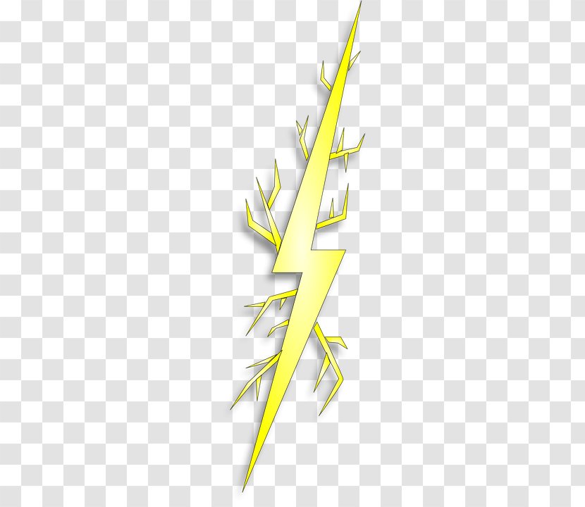 Drawing Lightning Clip Art - Leaf - Vector Transparent PNG