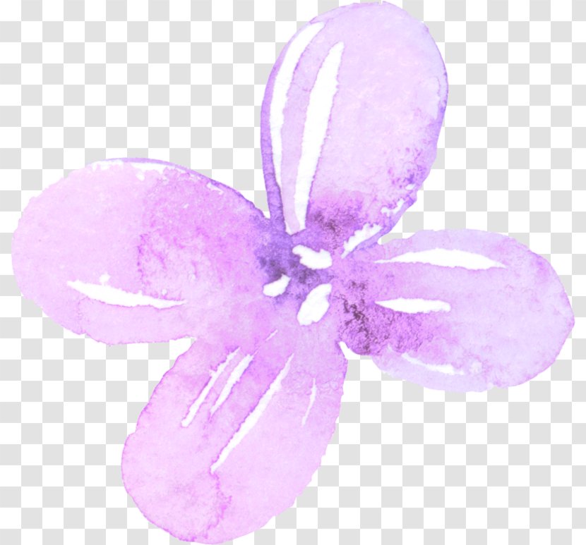 Petal Lilac Image Watercolor Painting - Flower - Pixabay Transparent PNG